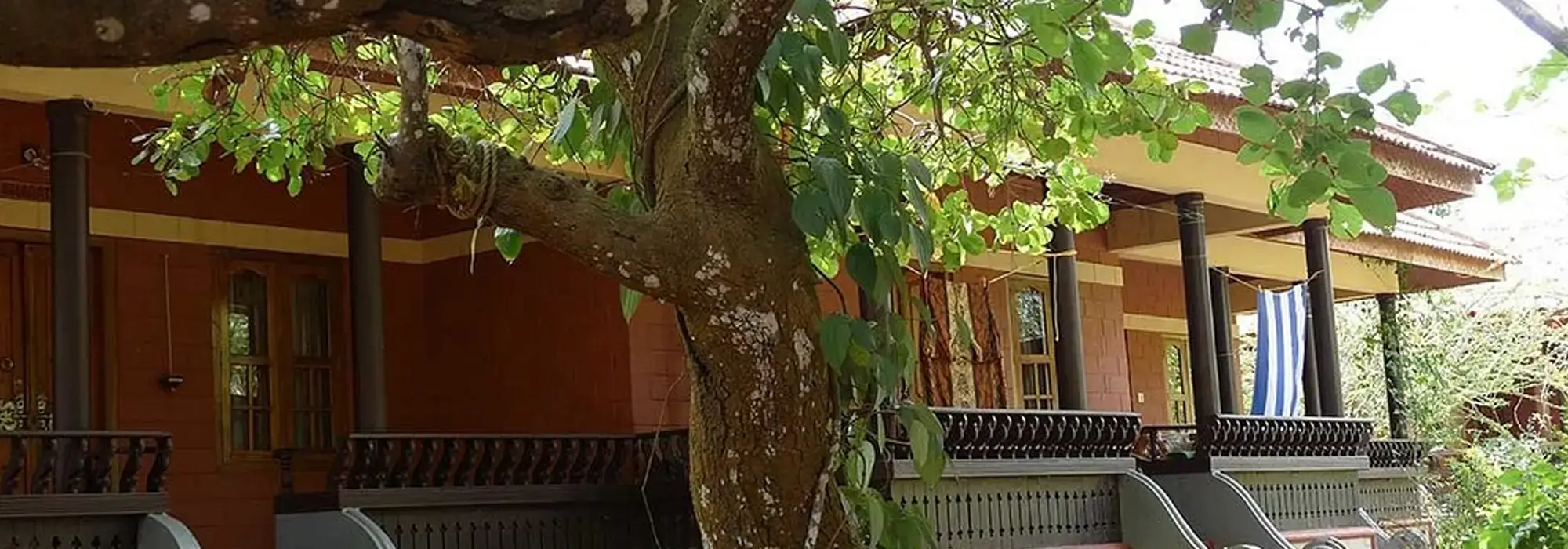 Kerala Healing Trails - Ayurveda Yoga Villa, Wayanad