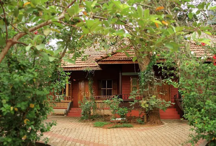 Kerala Healing Trails
