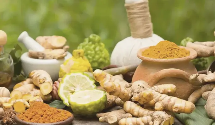 Kerala Healing Trails