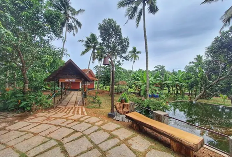 Kerala Healing Trails