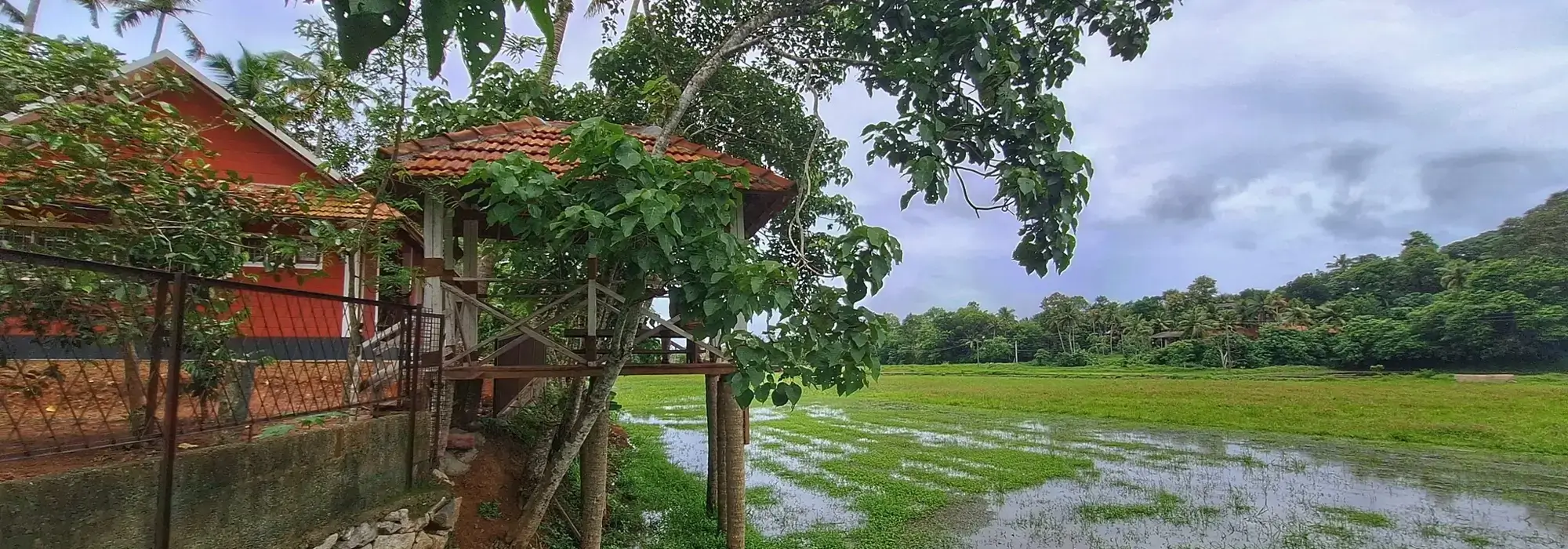 Kerala Healing Trails - Nellu - An Ayurvedic Farm Stay
