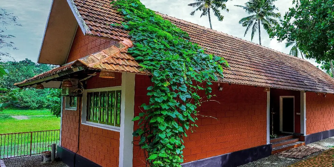 Kerala Healing Trails - Nellu - An Ayurvedic Farm Stay