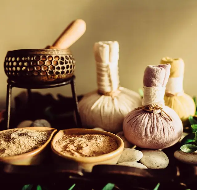 Kerala Healing Trails - Ayurveda Yoga Villa, Wayanad